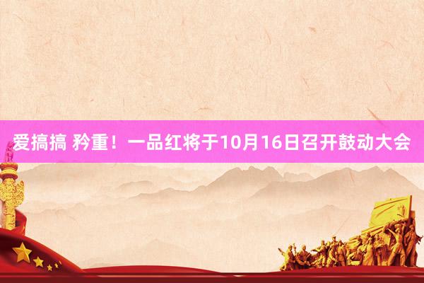 爱搞搞 矜重!一品红将于10月16日召开鼓动大会