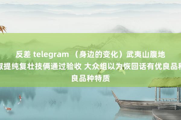 反差 telegram （身边的变化）武夷山腹地土辣椒提纯复壮技俩通过验收 大众组以为恢回话有优良品种特质