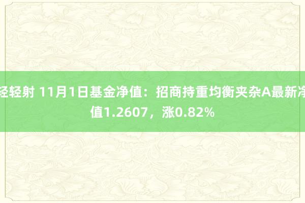 轻轻射 11月1日基金净值：招商持重均衡夹杂A最新净值1.2607，涨0.82%