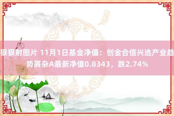 狠狠射图片 11月1日基金净值：创金合信兴选产业趋势羼杂A最新净值0.8343，跌2.74%