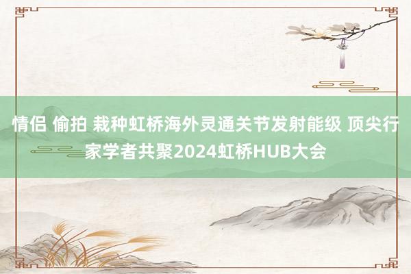 情侣 偷拍 栽种虹桥海外灵通关节发射能级 顶尖行家学者共聚2024虹桥HUB大会
