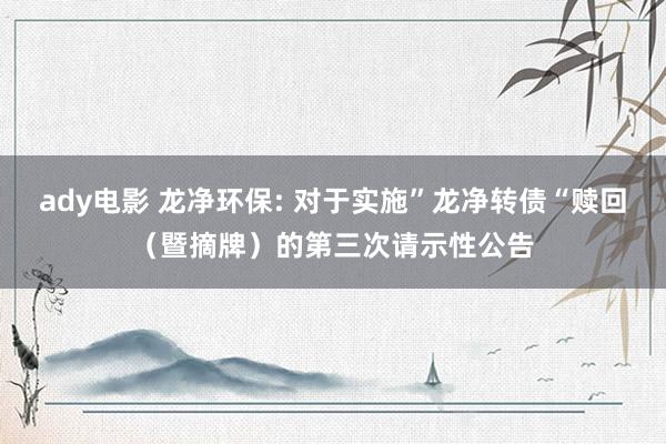 ady电影 龙净环保: 对于实施”龙净转债“赎回（暨摘牌）的第三次请示性公告