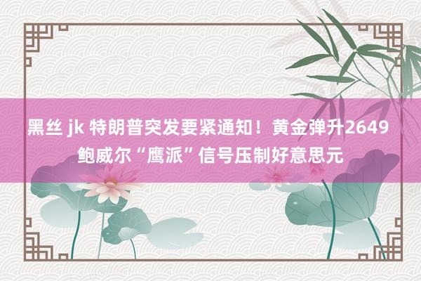 黑丝 jk 特朗普突发要紧通知！黄金弹升2649 鲍威尔“鹰派”信号压制好意思元