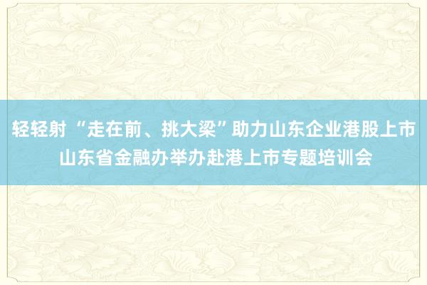 轻轻射 “走在前、挑大梁”助力山东企业港股上市 山东省金融办举办赴港上市专题培训会