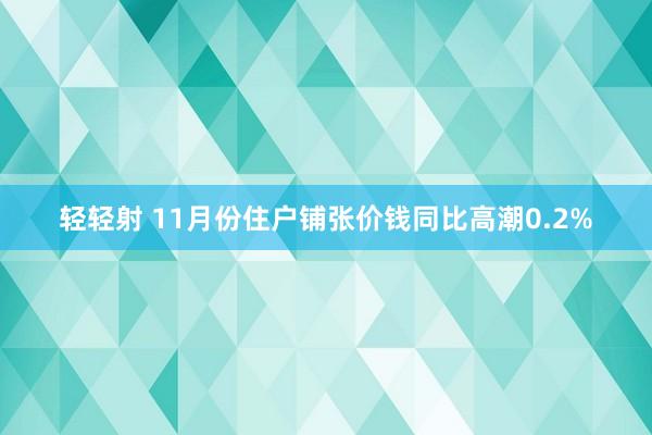轻轻射 11月份住户铺张价钱同比高潮0.2%
