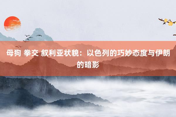 母狗 拳交 叙利亚状貌：以色列的巧妙态度与伊朗的暗影
