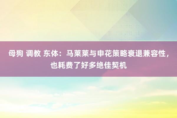 母狗 调教 东体：马莱莱与申花策略衰退兼容性，也耗费了好多绝佳契机