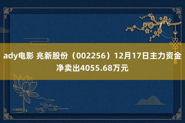 ady电影 兆新股份（002256）12月17日主力资金净卖出4055.68万元