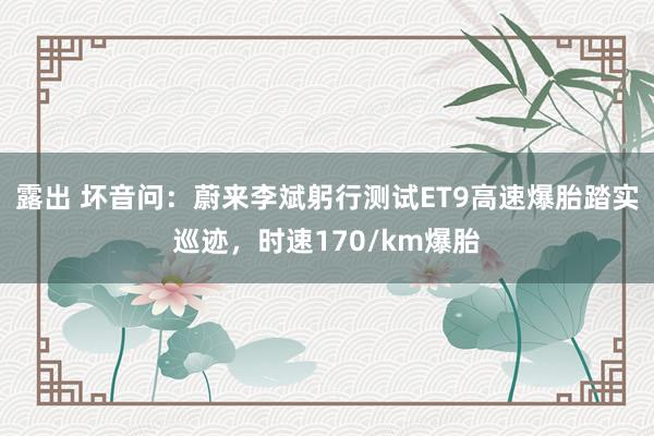 露出 坏音问：蔚来李斌躬行测试ET9高速爆胎踏实巡迹，时速170/km爆胎