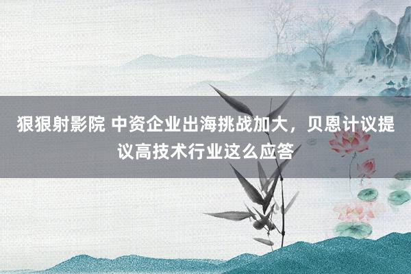 狠狠射影院 中资企业出海挑战加大，贝恩计议提议高技术行业这么应答