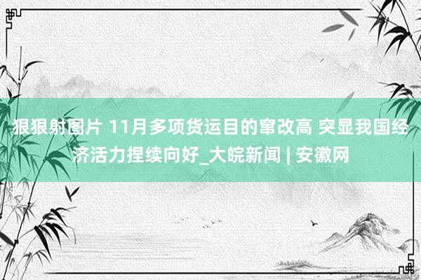 狠狠射图片 11月多项货运目的窜改高 突显我国经济活力捏续向好_大皖新闻 | 安徽网