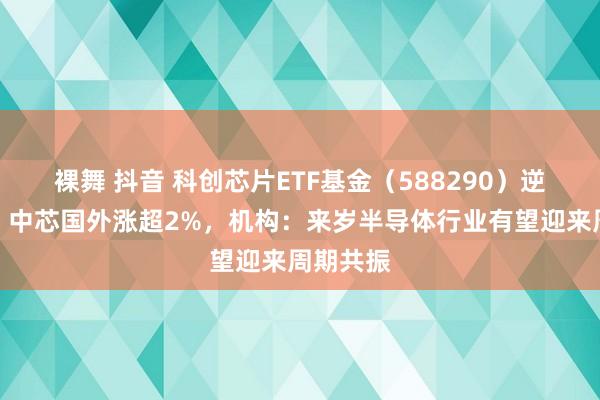 裸舞 抖音 科创芯片ETF基金（588290）逆市飘红，中芯国外涨超2%，机构：来岁半导体行业有望迎来周期共振