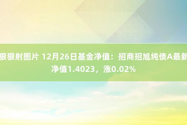 狠狠射图片 12月26日基金净值：招商招旭纯债A最新净值1.4023，涨0.02%
