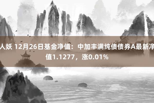 人妖 12月26日基金净值：中加丰满纯债债券A最新净值1.1277，涨0.01%