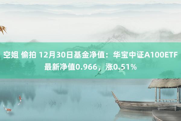 空姐 偷拍 12月30日基金净值：华宝中证A100ETF最新净值0.966，涨0.51%