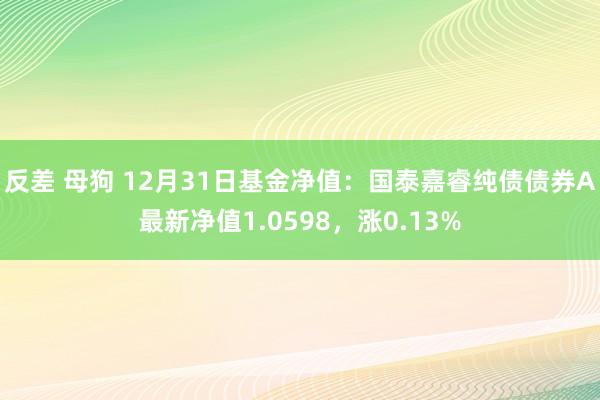 反差 母狗 12月31日基金净值：国泰嘉睿纯债债券A最新净值1.0598，涨0.13%