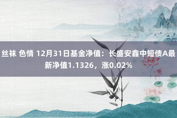 丝袜 色情 12月31日基金净值：长盛安鑫中短债A最新净值1.1326，涨0.02%