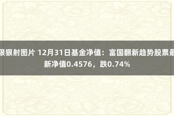 狠狠射图片 12月31日基金净值：富国翻新趋势股票最新净值0.4576，跌0.74%