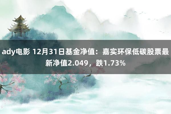 ady电影 12月31日基金净值：嘉实环保低碳股票最新净值2.049，跌1.73%