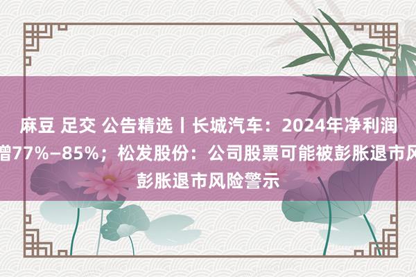 麻豆 足交 公告精选丨长城汽车：2024年净利润同比预增77%—85%；松发股份：公司股票可能被彭胀退市风险警示