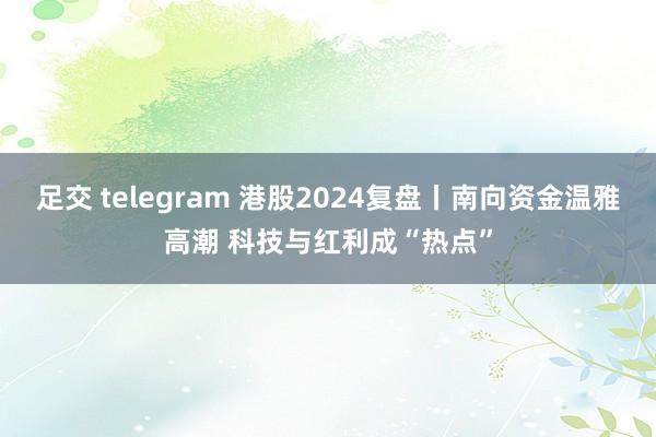 足交 telegram 港股2024复盘丨南向资金温雅高潮 科技与红利成“热点”