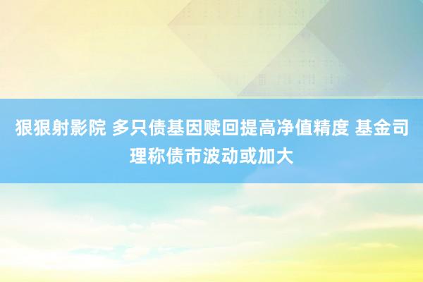 狠狠射影院 多只债基因赎回提高净值精度 基金司理称债市波动或加大