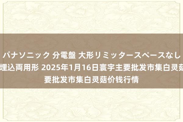 パナソニック 分電盤 大形リミッタースペースなし 露出・半埋込両用形 2025年1月16日寰宇主要批发市集白灵菇价钱行情