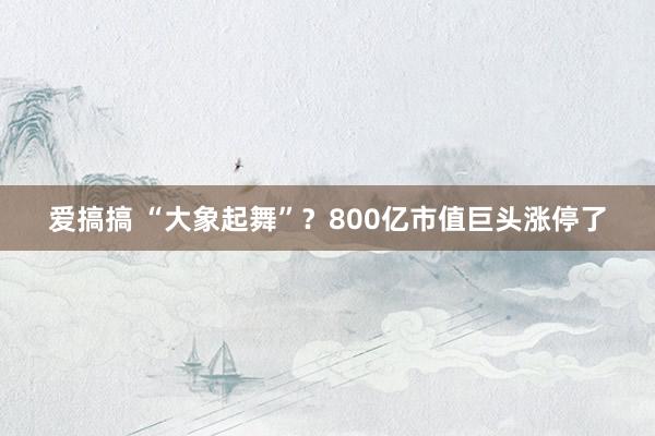 爱搞搞 “大象起舞”？800亿市值巨头涨停了
