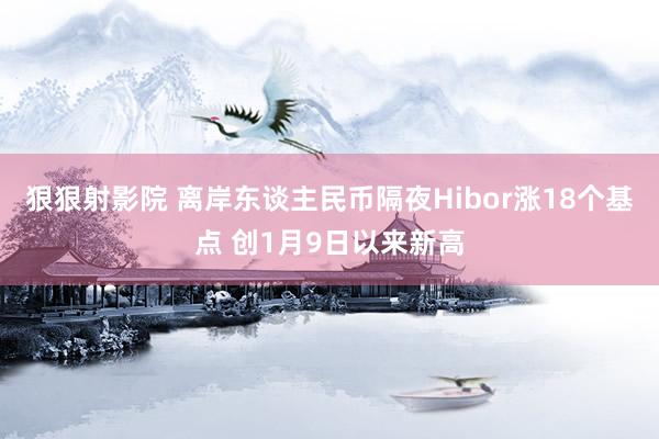 狠狠射影院 离岸东谈主民币隔夜Hibor涨18个基点 创1月9日以来新高