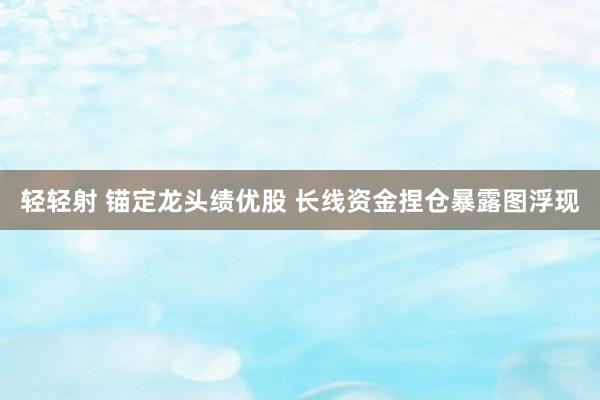 轻轻射 锚定龙头绩优股 长线资金捏仓暴露图浮现