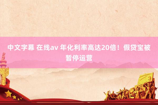 中文字幕 在线av 年化利率高达20倍！假贷宝被暂停运营