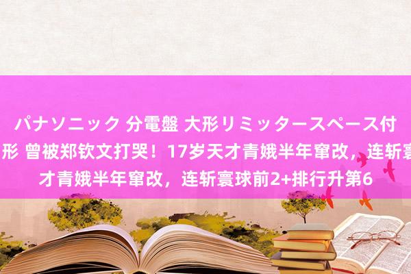 パナソニック 分電盤 大形リミッタースペース付 露出・半埋込両用形 曾被郑钦文打哭！17岁天才青娥半年窜改，连斩寰球前2+排行升第6