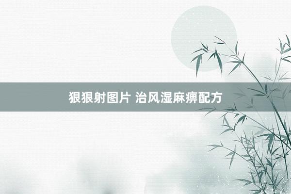 狠狠射图片 治风湿麻痹配方