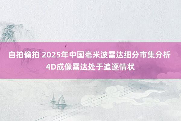 自拍偷拍 2025年中国毫米波雷达细分市集分析 4D成像雷达处于追逐情状
