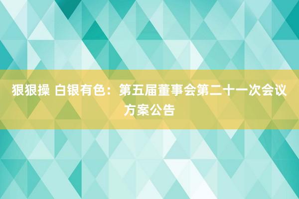 狠狠操 白银有色：第五届董事会第二十一次会议方案公告