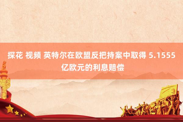 探花 视频 英特尔在欧盟反把持案中取得 5.1555 亿欧元的利息赔偿