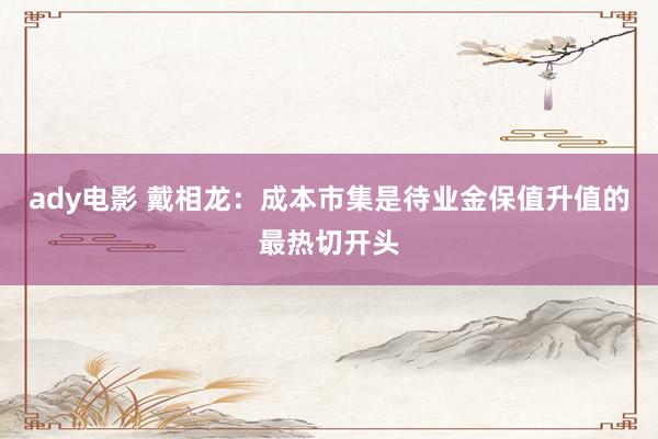 ady电影 戴相龙：成本市集是待业金保值升值的最热切开头