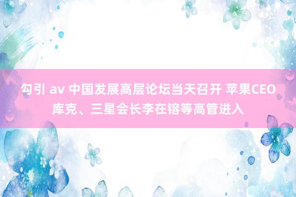 勾引 av 中国发展高层论坛当天召开 苹果CEO库克、三星会长李在镕等高管进入