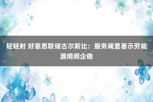 轻轻射 好意思联储古尔斯比：服务阐显著示劳能源阛阓企稳