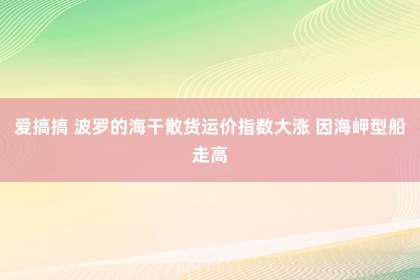 爱搞搞 波罗的海干散货运价指数大涨 因海岬型船走高