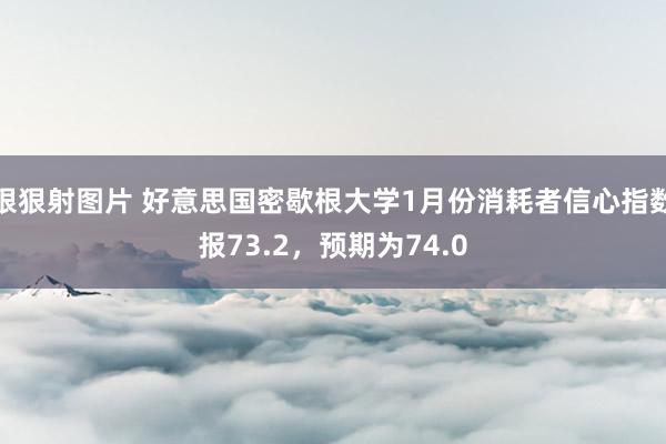 狠狠射图片 好意思国密歇根大学1月份消耗者信心指数报73.2，预期为74.0