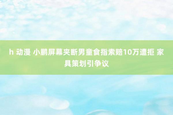 h 动漫 小鹏屏幕夹断男童食指索赔10万遭拒 家具策划引争议
