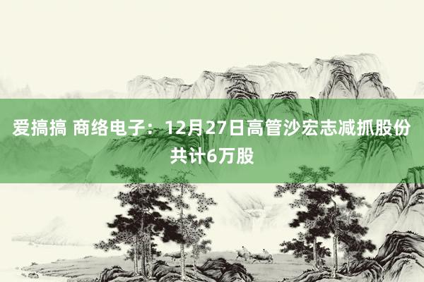 爱搞搞 商络电子：12月27日高管沙宏志减抓股份共计6万股