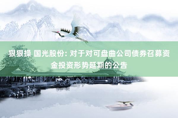 狠狠操 国光股份: 对于对可盘曲公司债券召募资金投资形势延期的公告