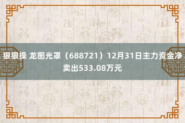 狠狠操 龙图光罩（688721）12月31日主力资金净卖出533.08万元