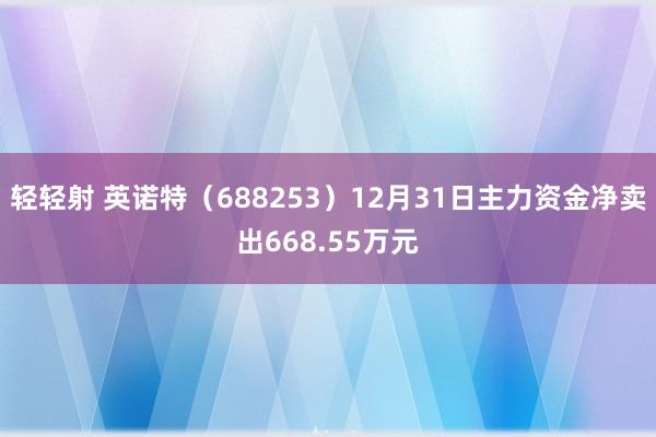 轻轻射 英诺特（688253）12月31日主力资金净卖出668.55万元
