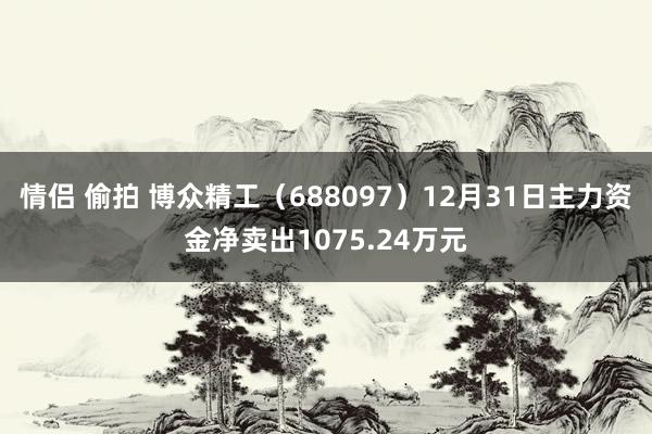 情侣 偷拍 博众精工（688097）12月31日主力资金净卖出1075.24万元
