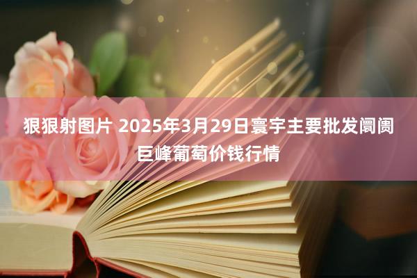 狠狠射图片 2025年3月29日寰宇主要批发阛阓巨峰葡萄价钱行情