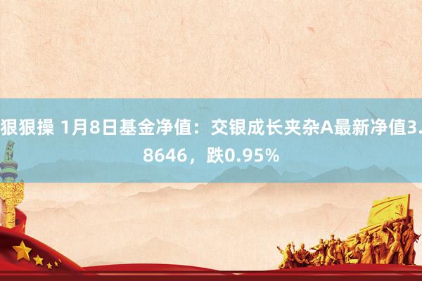 狠狠操 1月8日基金净值：交银成长夹杂A最新净值3.8646，跌0.95%