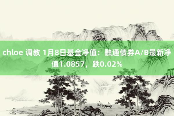 chloe 调教 1月8日基金净值：融通债券A/B最新净值1.0857，跌0.02%